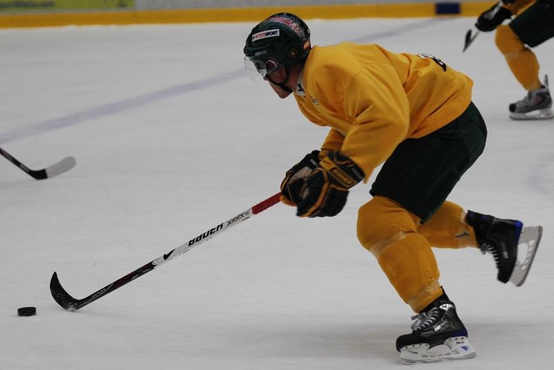 4.jpg - FOTO JOHAN SJODIN