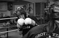 Boxning